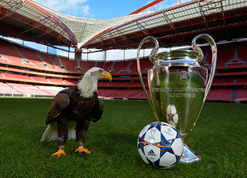 对身体边界 对身体边界